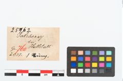 Etikett zu Bronzering (NHMW-PRAE-025962)
